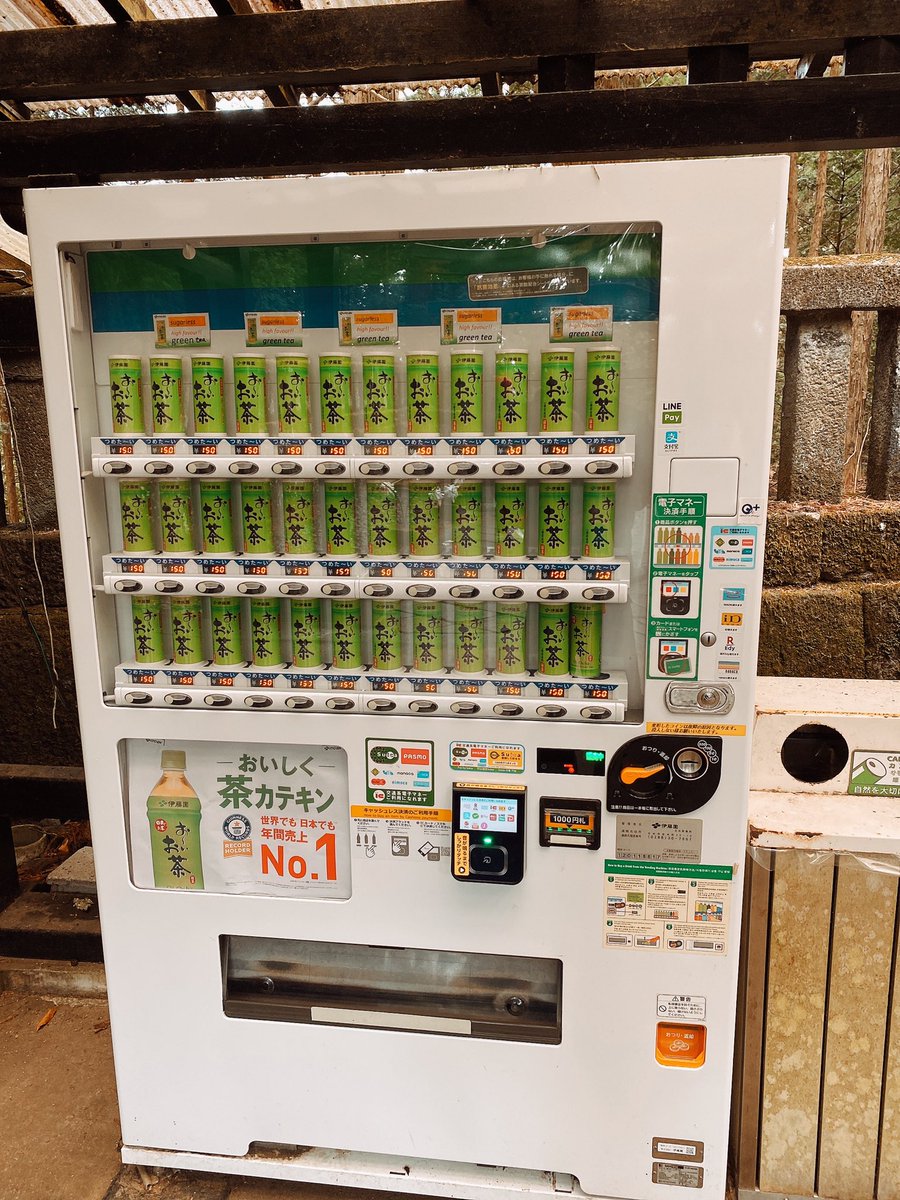 これはもう多いお茶なんよ 