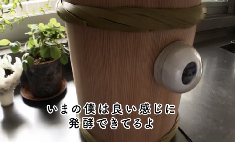 ぬか床ロボ、妖怪味が強い