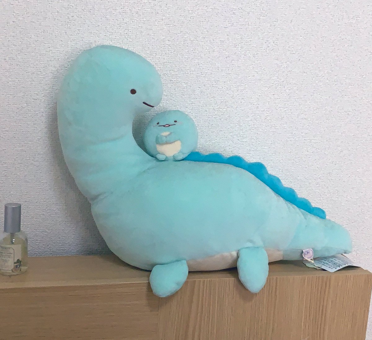 すみっコぐらしのとかげは、ほんとは恐竜の子どもなんだけどバレたら捕まっちゃうから隠してて、恐竜の成体であるおかあさんと離れ離れで暮らしてるんだけど、KIDDY LANDでこのぬいぐるみを見つけて、とかげがお母さんと会えて幸せそうなのが嬉しくて店頭で号泣してしまった(買った) 