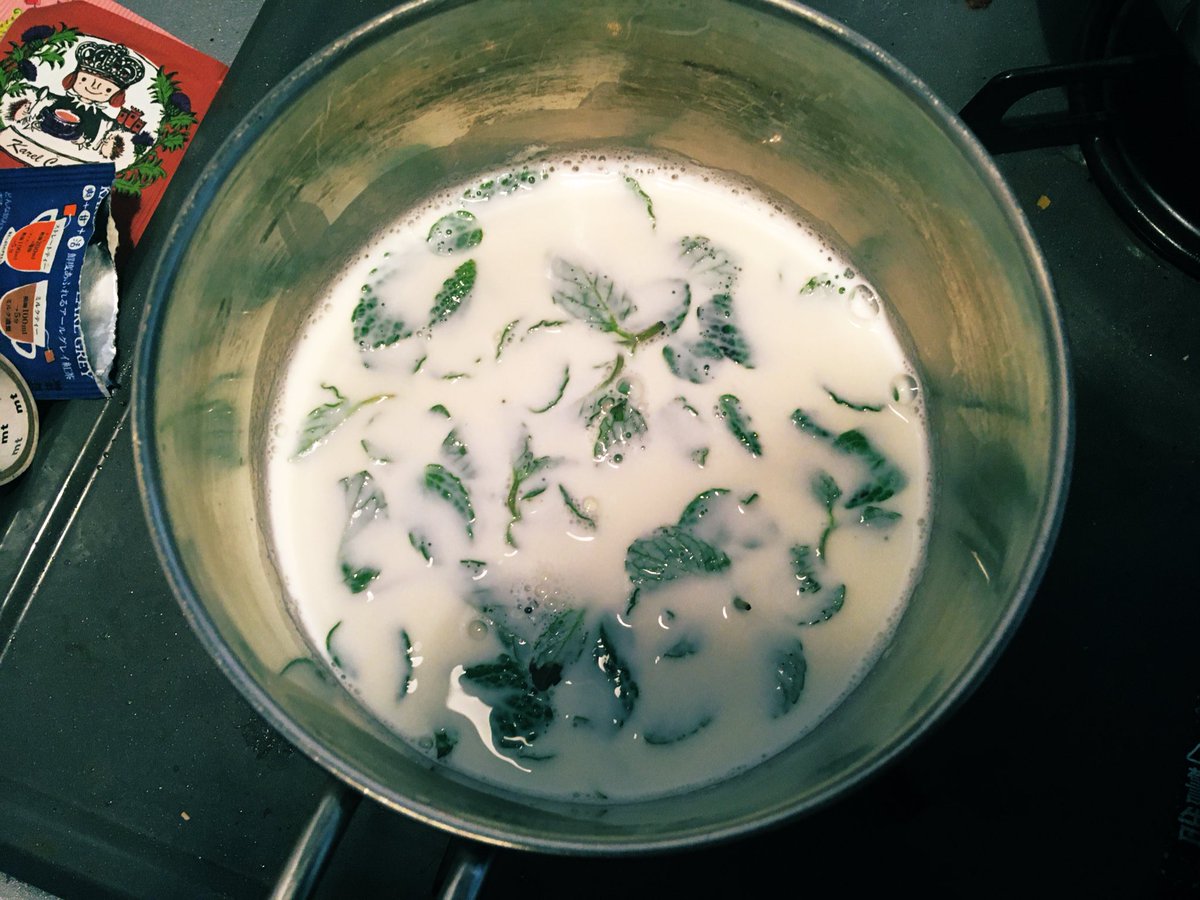 八百屋でミントが安くてモヒートにでもすっか〜と思ってたら店主が「鍋で牛乳を温めて沸騰しかけたらミントをわさーって入れて3分