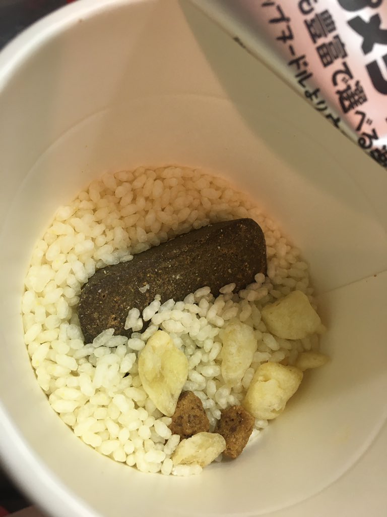 はじめてカレーメシ食べるんだけど、猫飼いとしてなんとも言えない感情がわいてくる 