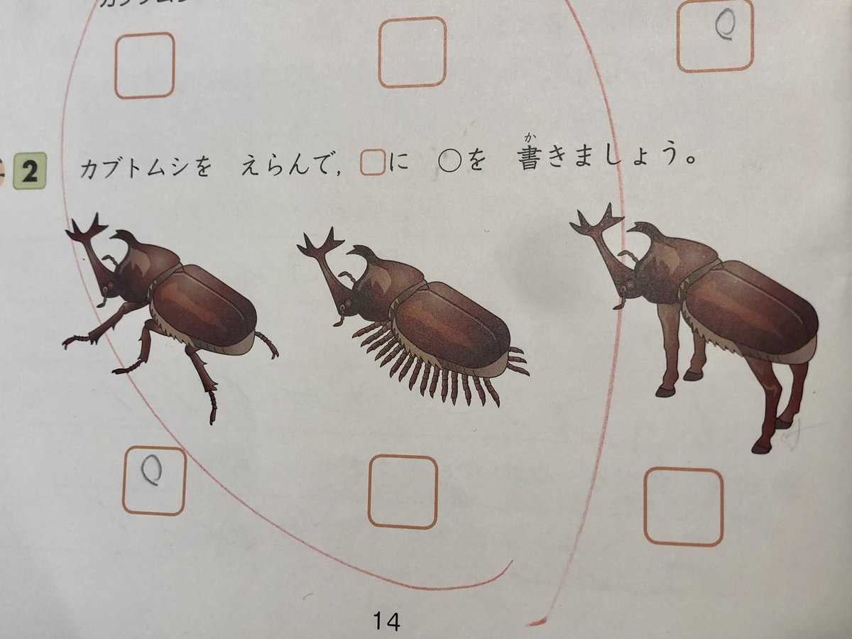 息子が勉強しながら爆笑しており、何かと思って覗き込んだら私も耐えられなかった