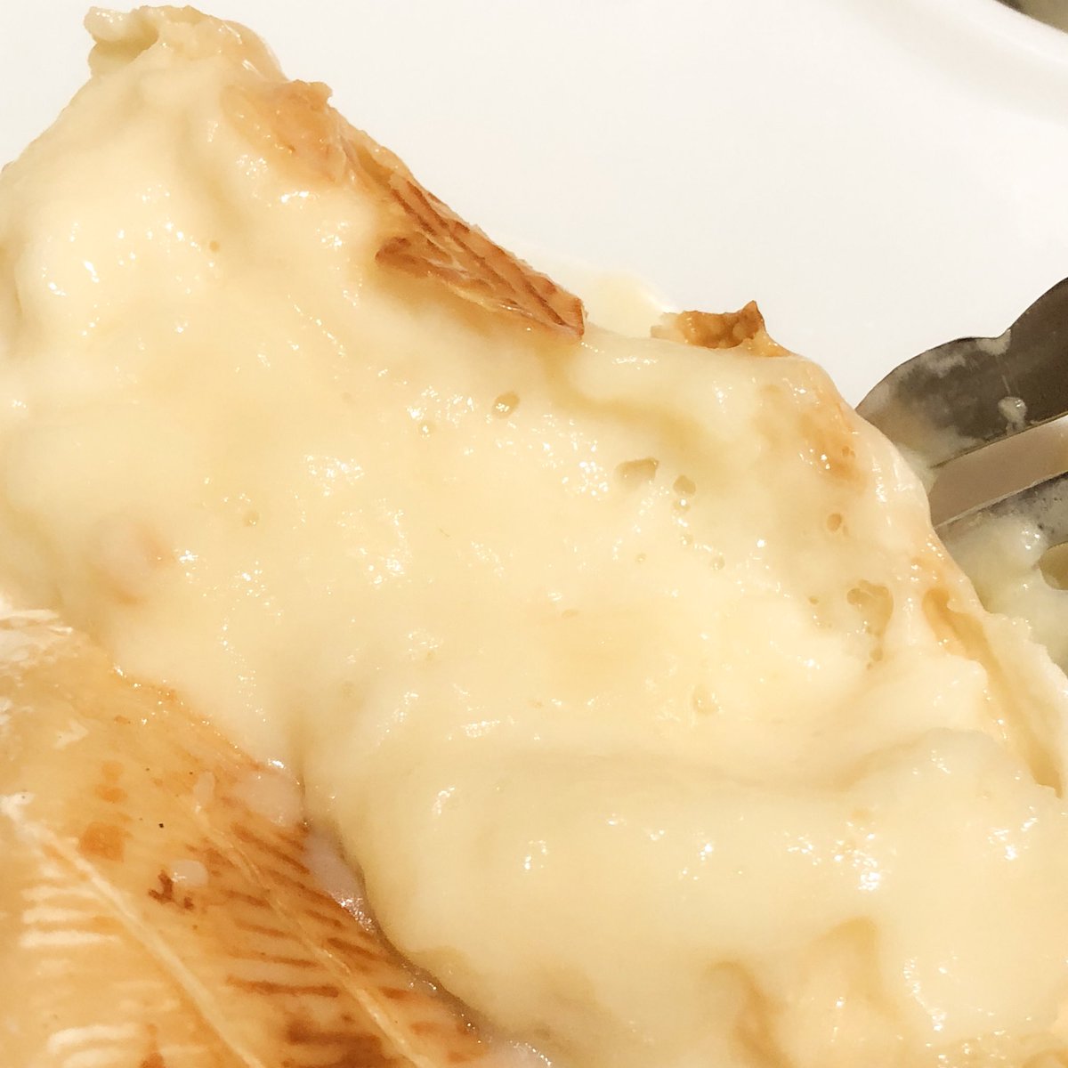 チーズ好きは今すぐジョリーパスタに行くんだ……今なら合法的にカマンベールチーズを丸々1個食べれるぞ……贅沢しすぎて逮捕されるんじゃないかと思った…… 