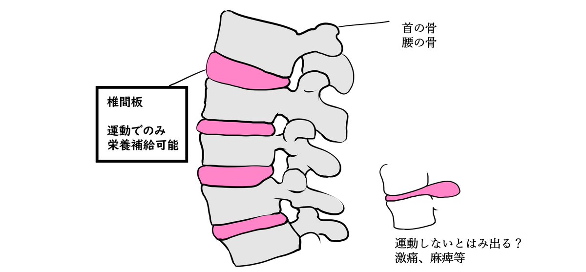 デスク作業の場合2時間に1回は運動するようにとのこと医学療法士さんと話した結果