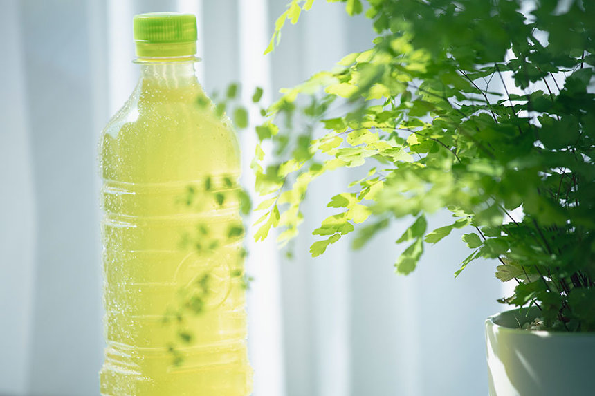 篠山紀信さんが撮影した「伊右衛門」のヌード写真、どう考えても大好き過ぎる