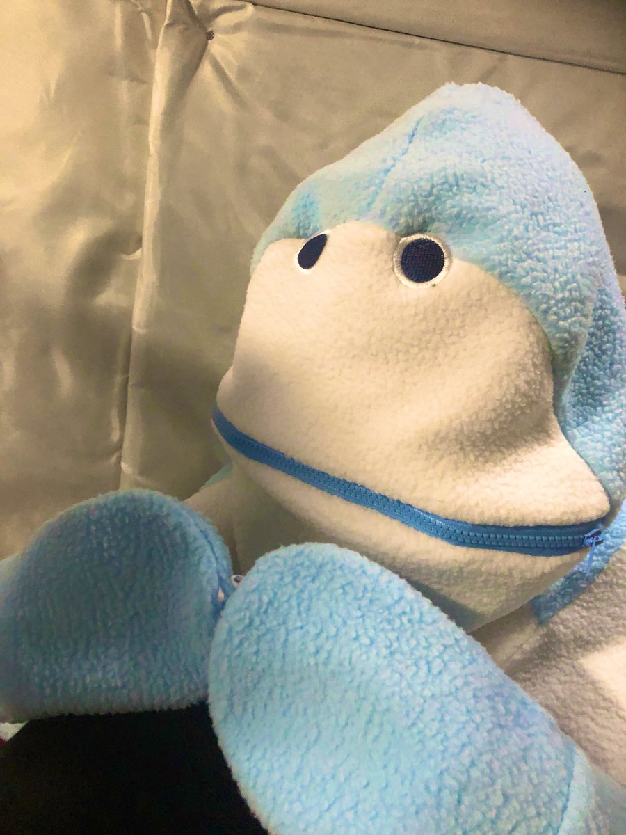 web注文したやつ思てたんと全然違う 