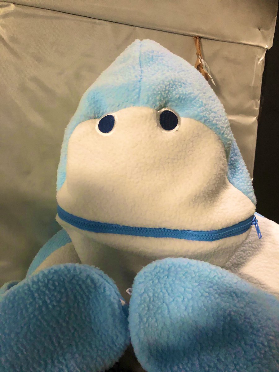 web注文したやつ思てたんと全然違う 