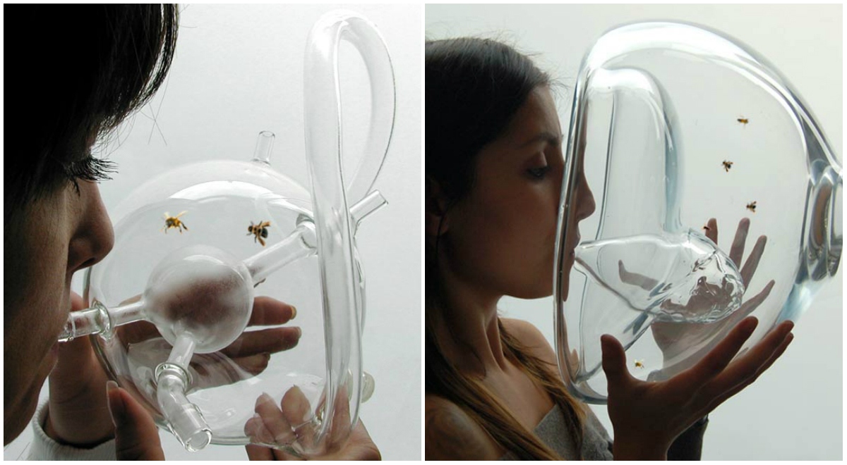 「中に息を吹き込んだ後のハチの動きでガンかどうかを判断できる仕組み