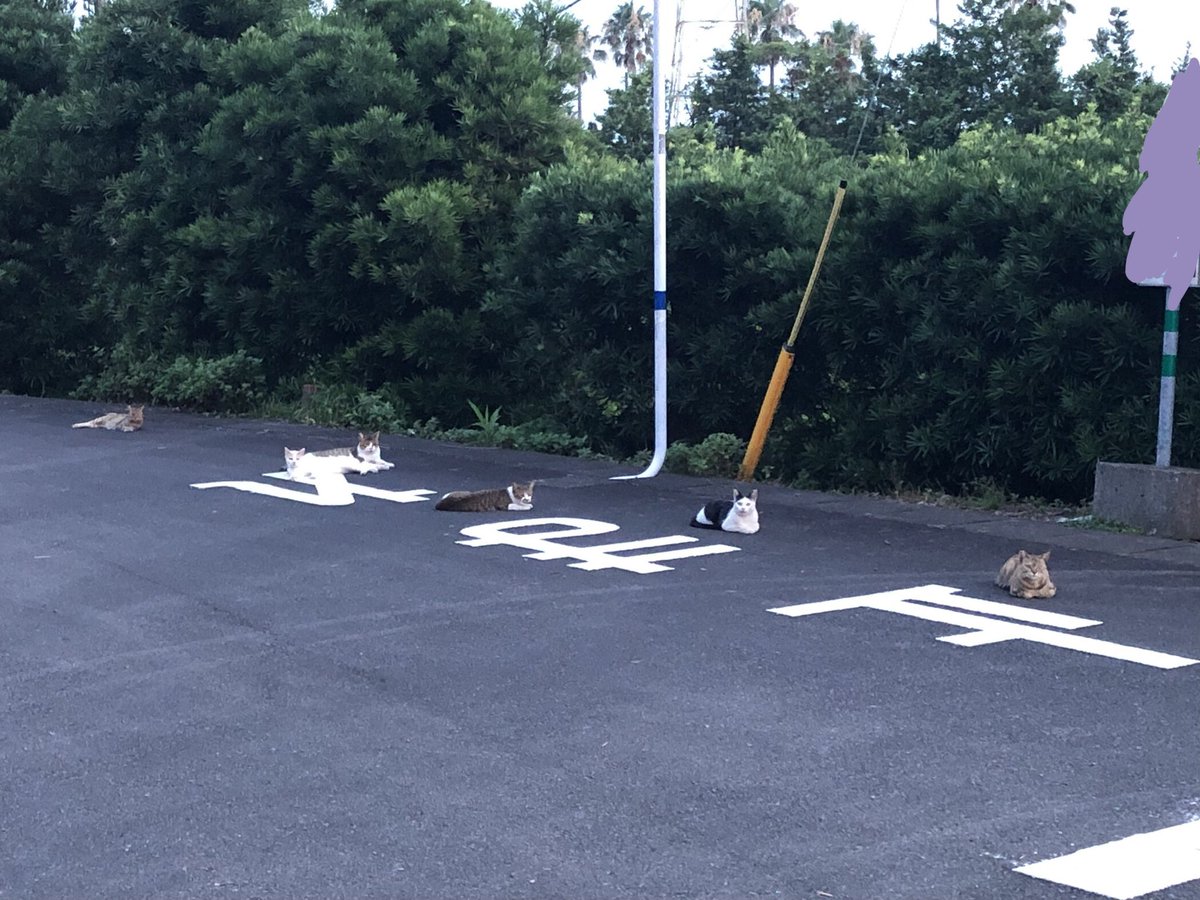 フリートで留めるのもったいないから、今年に入って一位二位を争うくらい好きな写真を貼っておきます