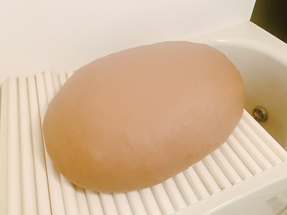 これは洗おうとしたら水吸いまくって巨大な饅頭になったニトリのもちもちクッション 