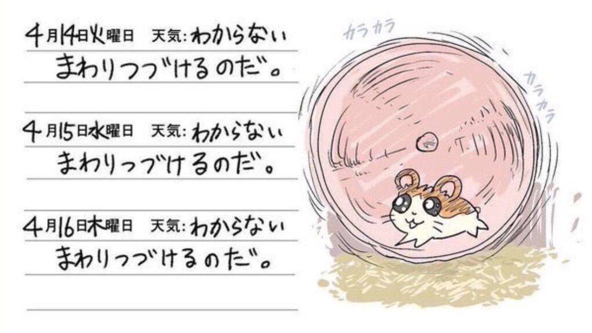 社会人になってからずっとこれ 