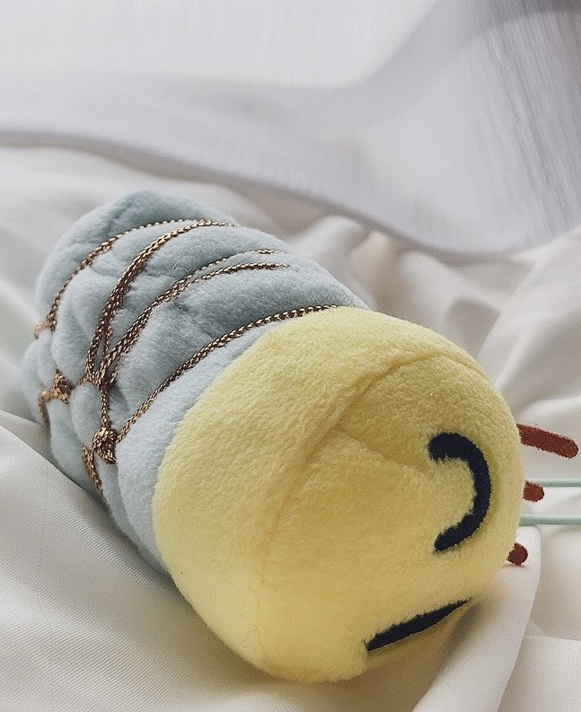 ニャッキを縛ってみました 