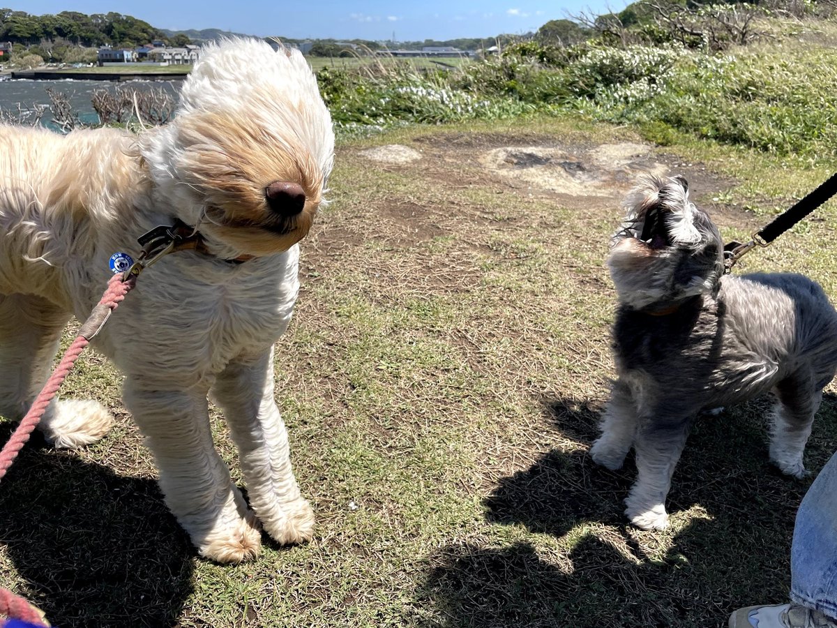 ｳｫｫｫｫｫｫｫｵｵｵｵｵｰｰｰｰｰｰｰｰ!!!!! 