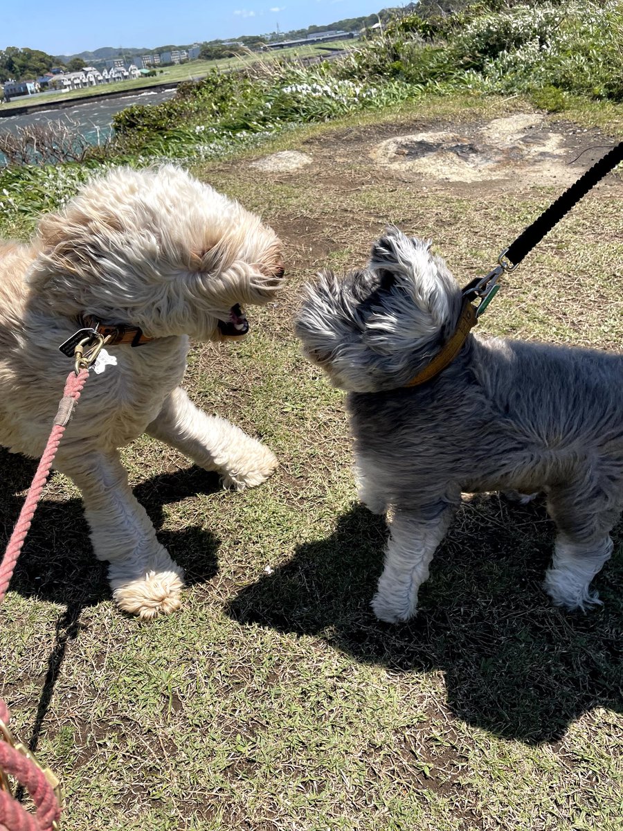 ｳｫｫｫｫｫｫｫｵｵｵｵｵｰｰｰｰｰｰｰｰ!!!!! 