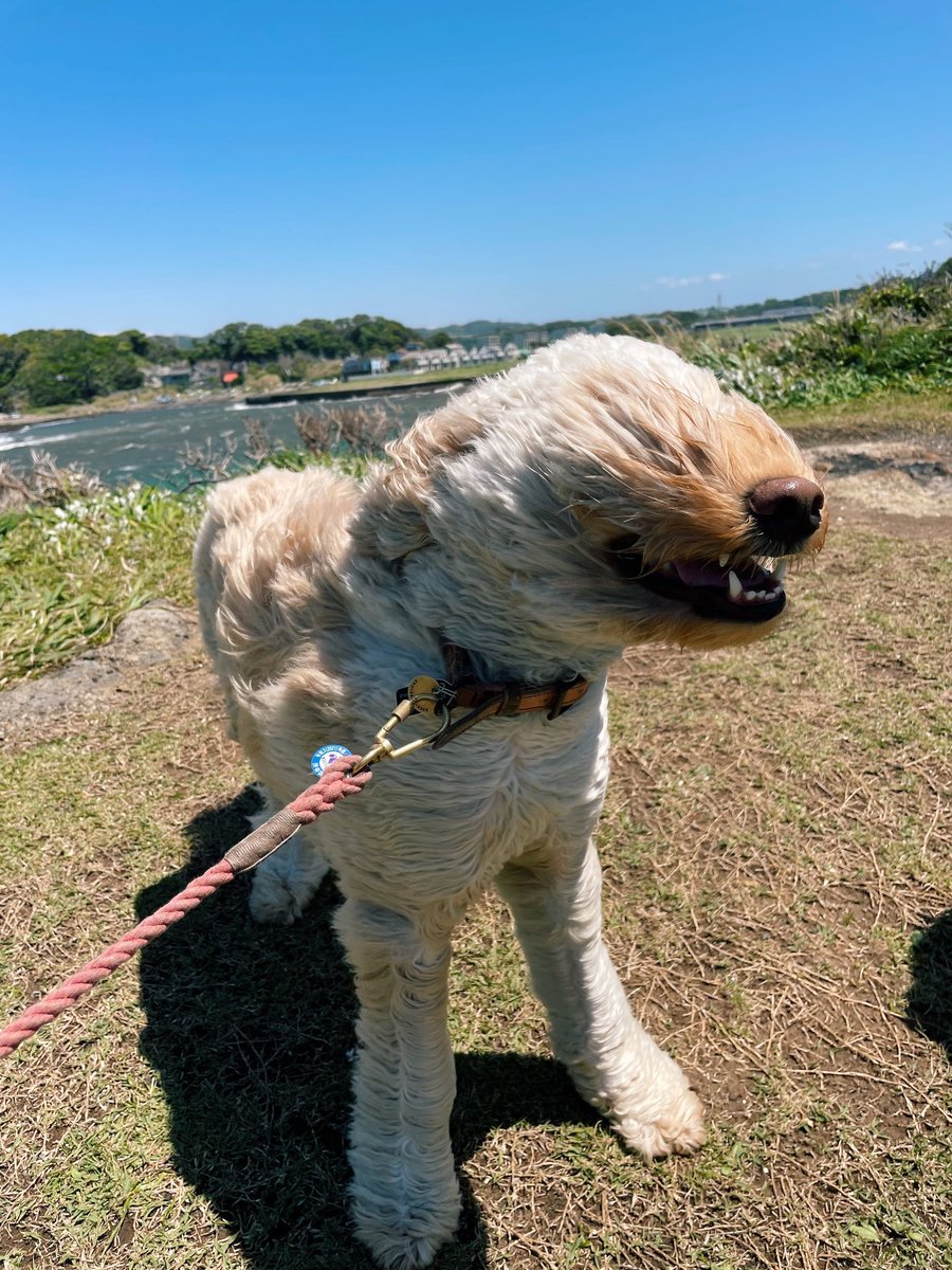 ｳｫｫｫｫｫｫｫｵｵｵｵｵｰｰｰｰｰｰｰｰ!!!!! 