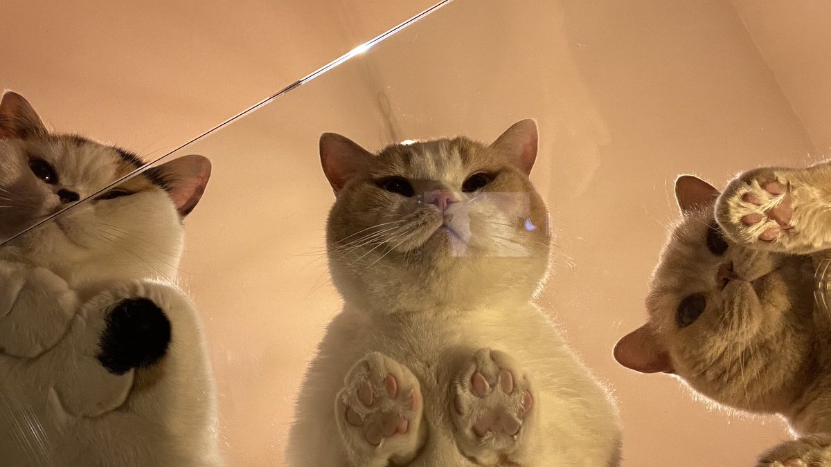 ガラステーブル買ったら絶景が見れた。 