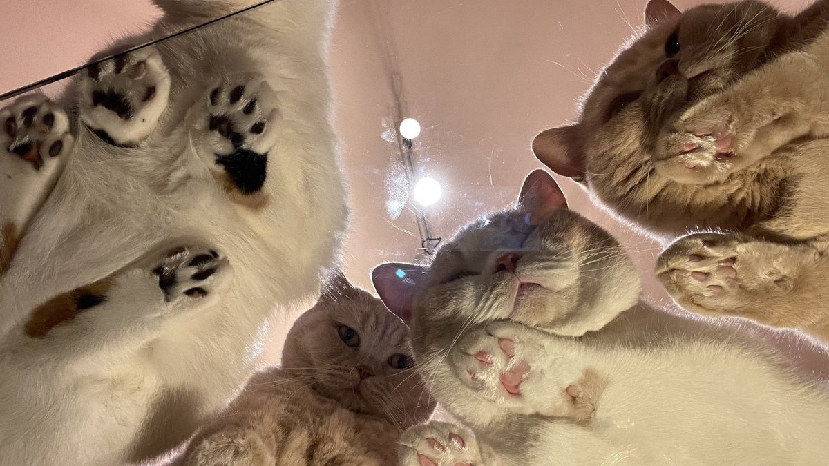 ガラステーブル買ったら絶景が見れた。 