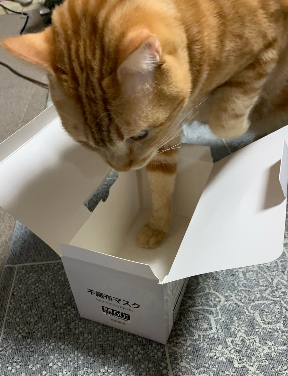 それは無理だと思う。 