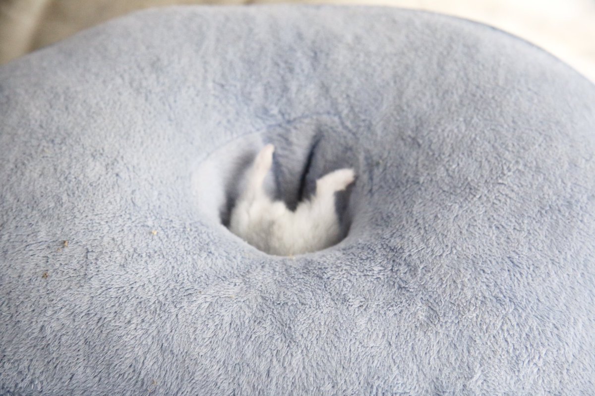 吸い込まれていきました 