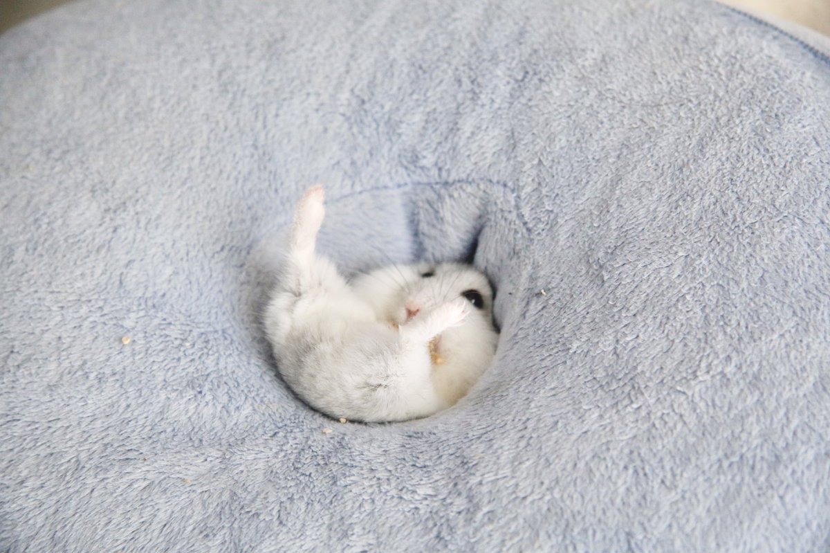 吸い込まれていきました 