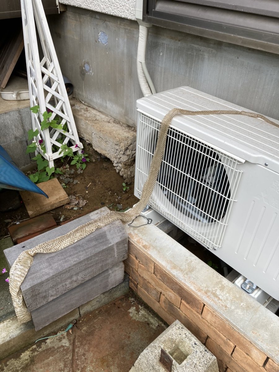 見て蛇の抜け殻〜じゃないんだよ そのサイズの蛇が家の近くにいるんだよ 