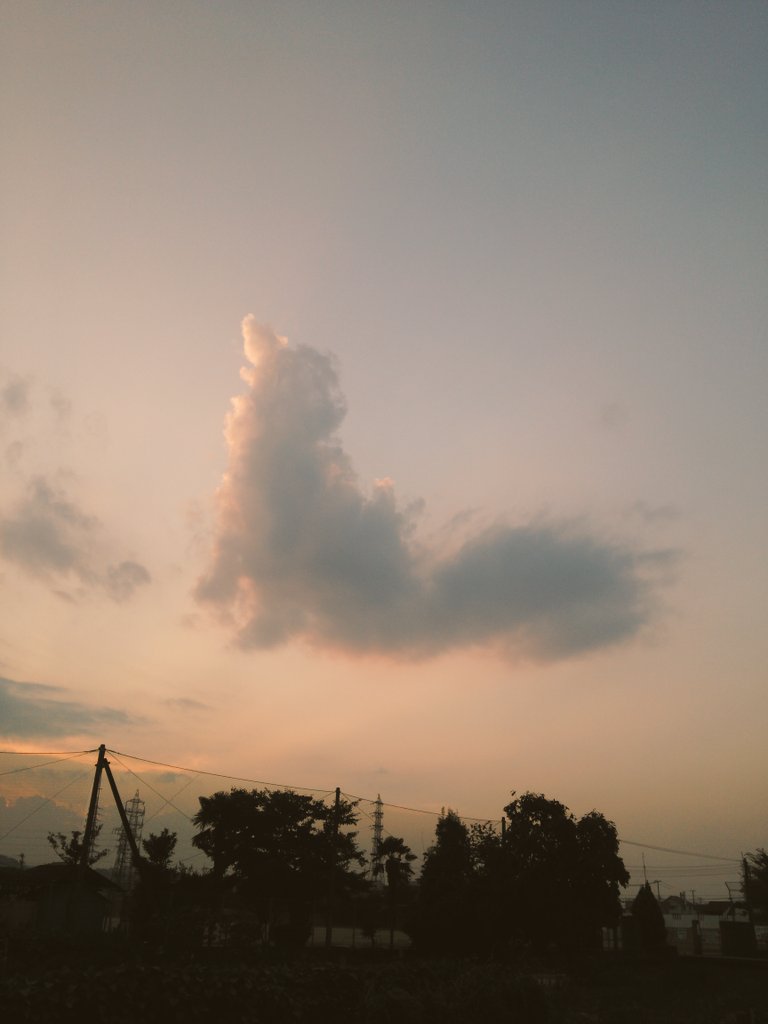 っぽい雲見つけました♪ 犬の遠吠に見えたら犬好き、振り向いた猫に見えたら猫好き♪‧(∗︎*⁰͈꒨⁰͈)‧ 