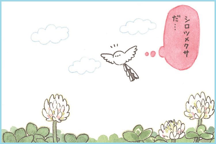 邪（よこシマ）エナガさんとクローバー 