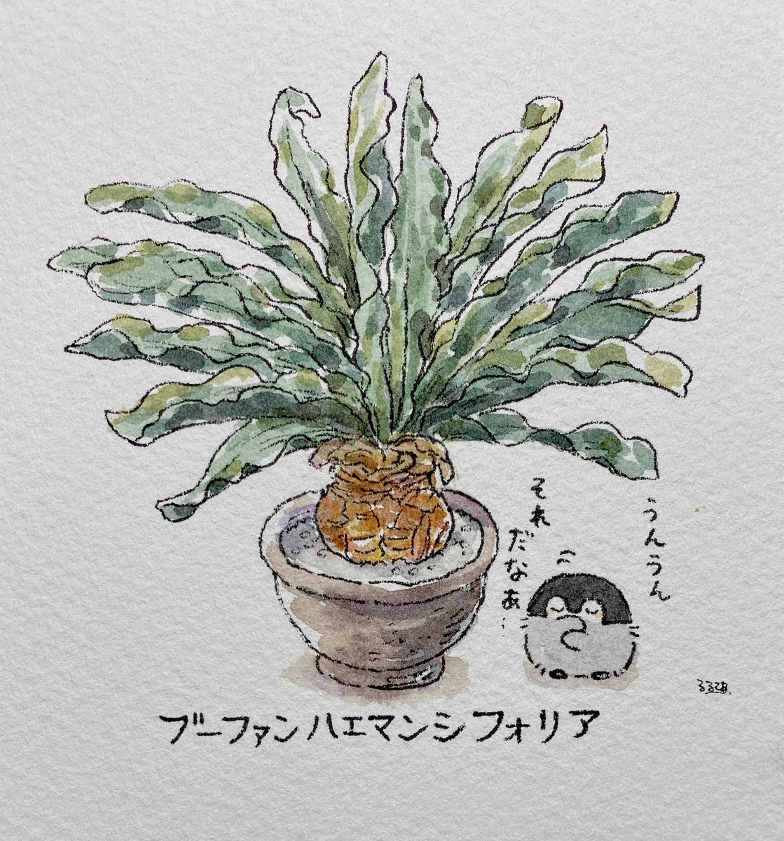 植物とコウペンちゃん 
