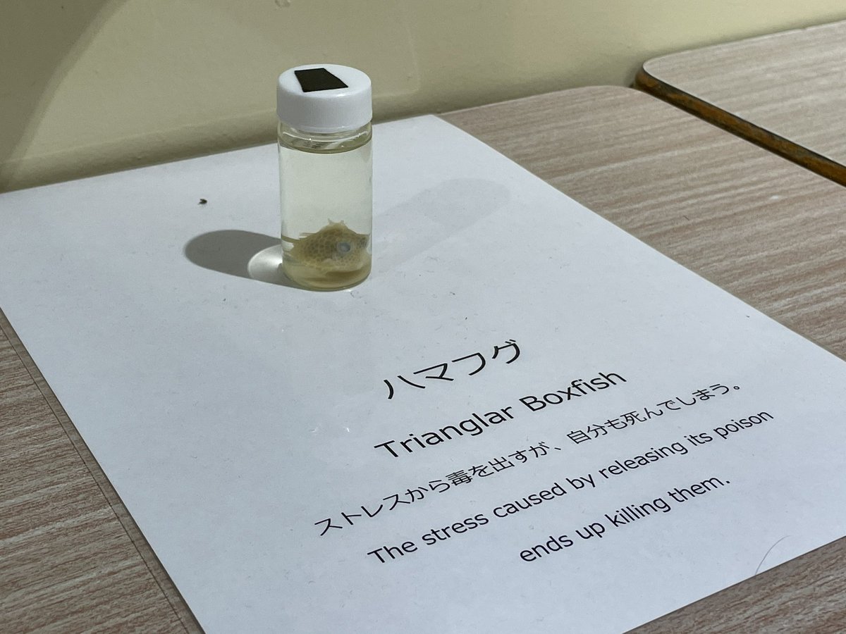 人事とは思えませんでした 