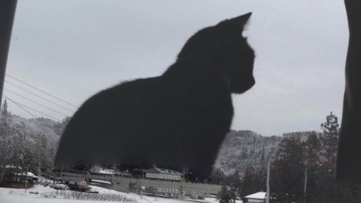 加工ミスで巨大になってしまった… 