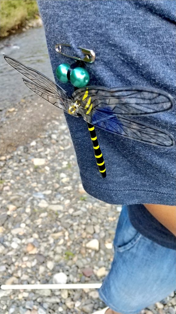  （半袖半ズボンでしたが虫に一箇所も刺されてません） 