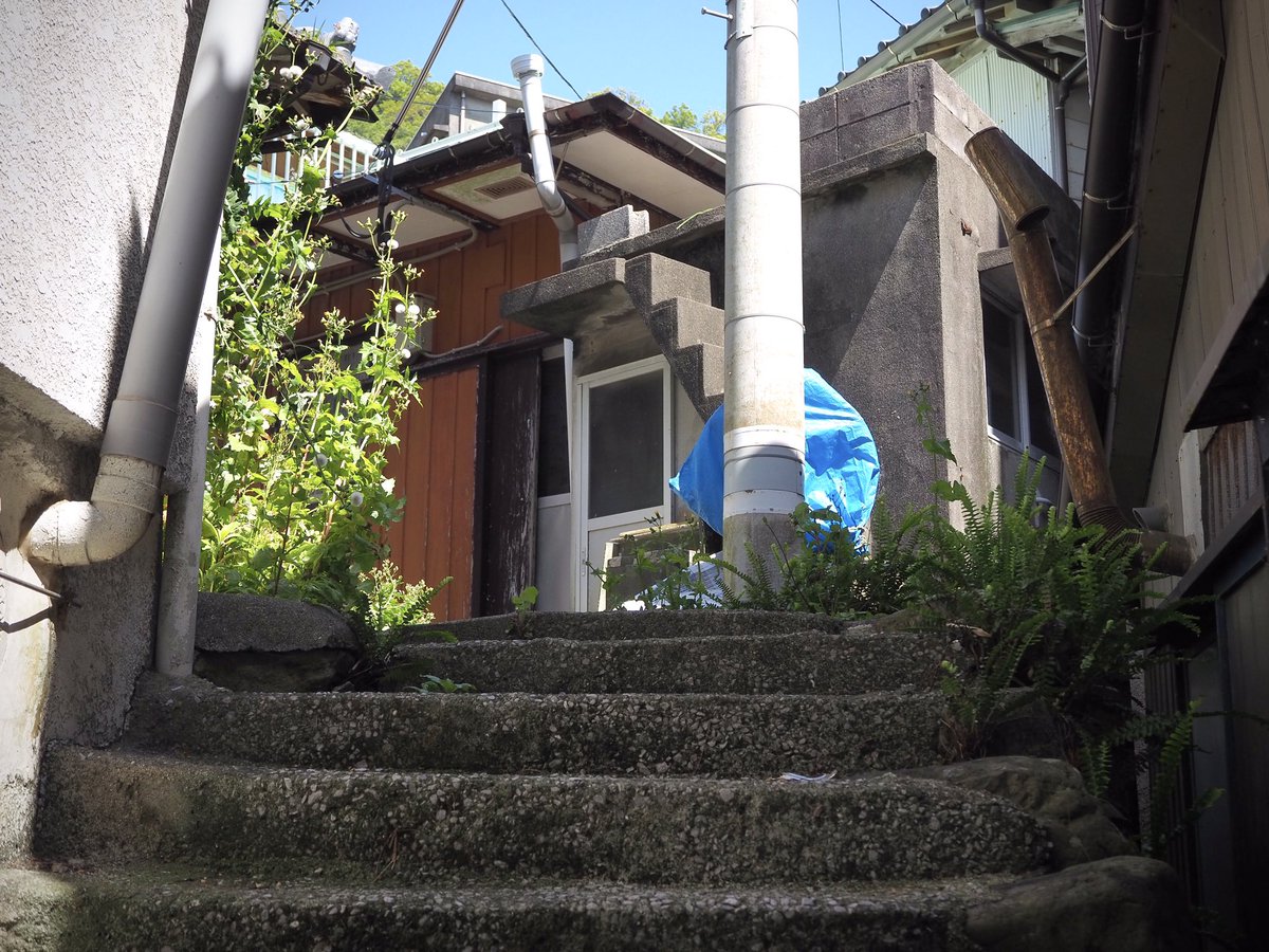 いい階段が密集してる…