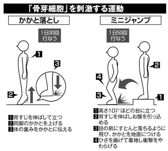 NHK【人体】の骨の回でもありましたが、骨に大事な要素の一つに「踵への刺激」があります