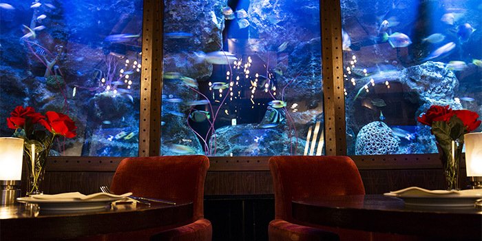 ほら……こういうね……行きたい……気分的なオクタ寮兼モストロラウンジ気分味わいたいんだ…… 