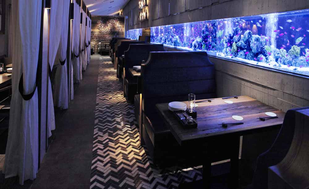 ほら……こういうね……行きたい……気分的なオクタ寮兼モストロラウンジ気分味わいたいんだ…… 