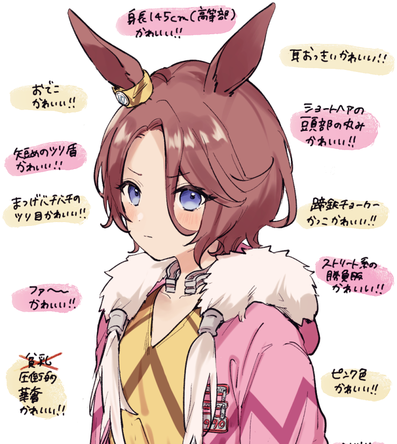 タイシンの外見についてたまらんポイントを言語化しときました 