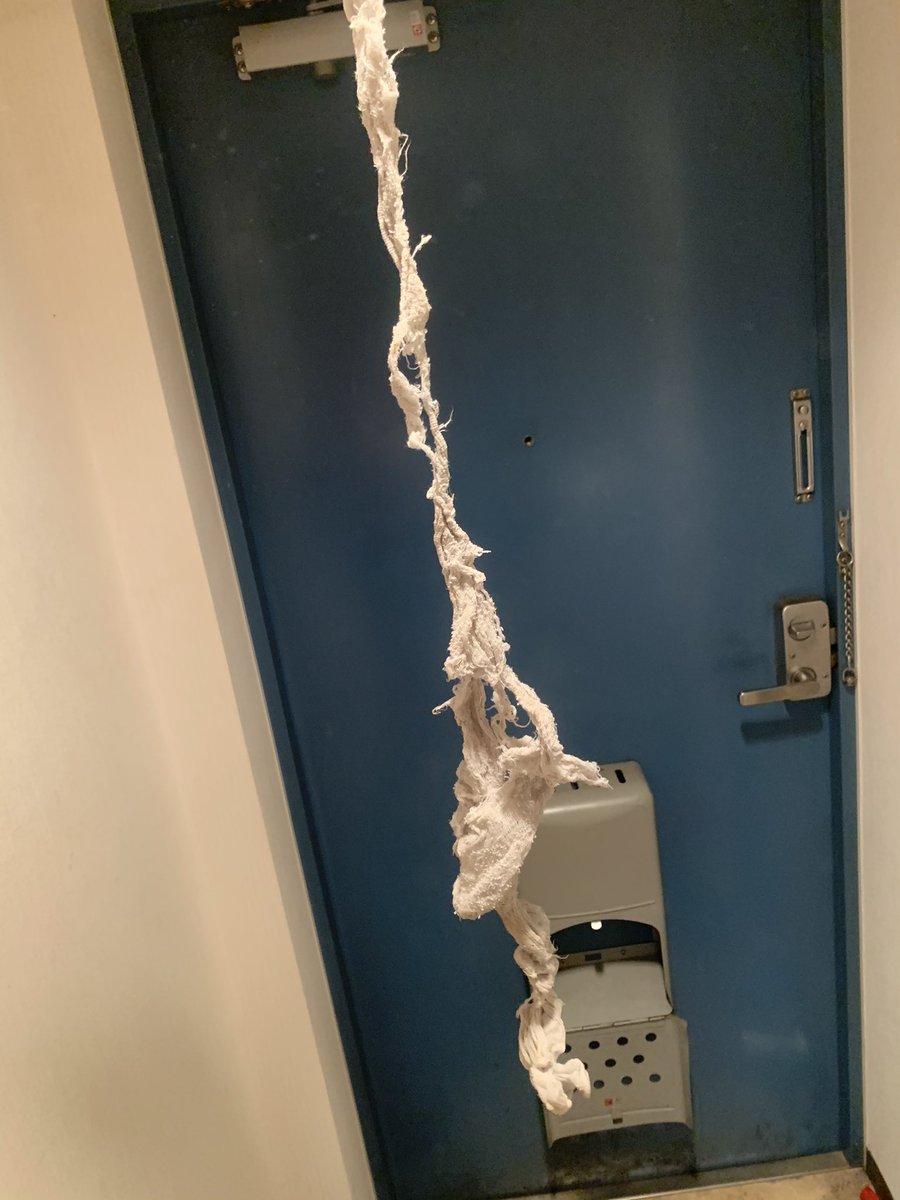 通話中、俺の使ってる風呂上がりに体を拭くタオルの話題になりまして、「これが今使ってるタオル」って言ったら悲鳴が上がりました  「さきいかみたい」  「デュラララ!!のエンディングみたい」  「恨みを抱かれてもおかしくないが、こいつはもう一旦木綿にもなれない」  など言われました 