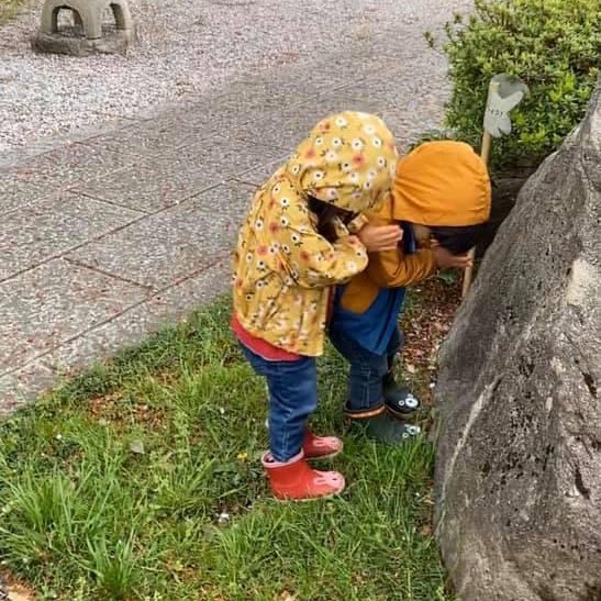  と教えたら、岩という岩に手を合わせるようになったうちの双子