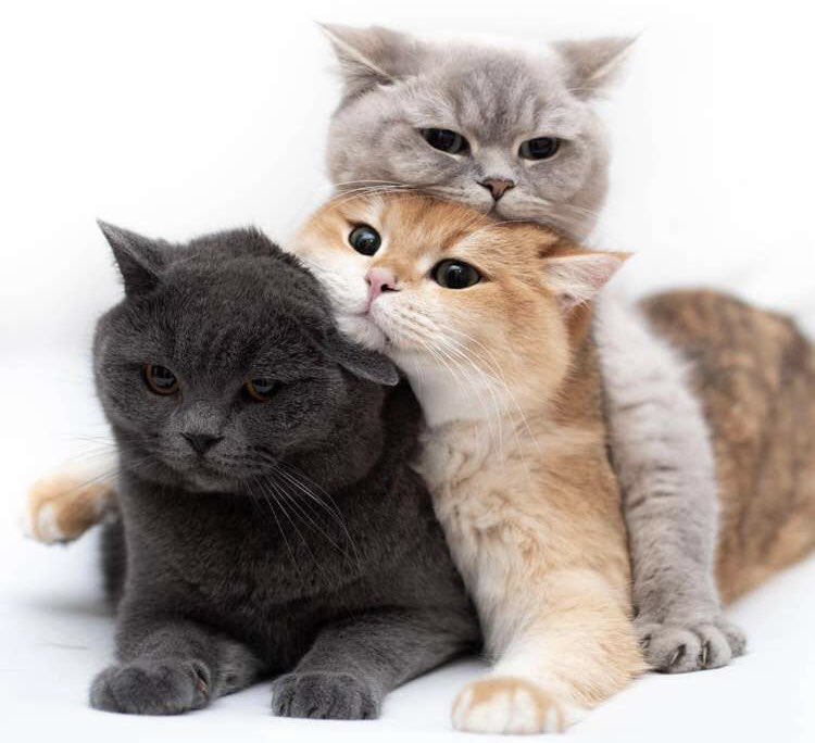 2ヶ月かけてコツコツと描いた絵 