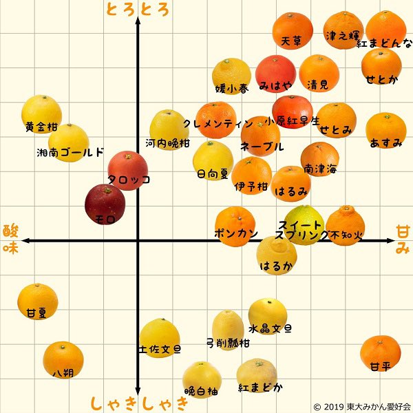 柑橘類だけで33種類❣️ 甘い味が多いほど脾と胃をケア 酸っぱい味にいくほど肝をケア  肺もケアし、風邪予防に❣️ 3月は柑橘類が一年で最も豊富です 
