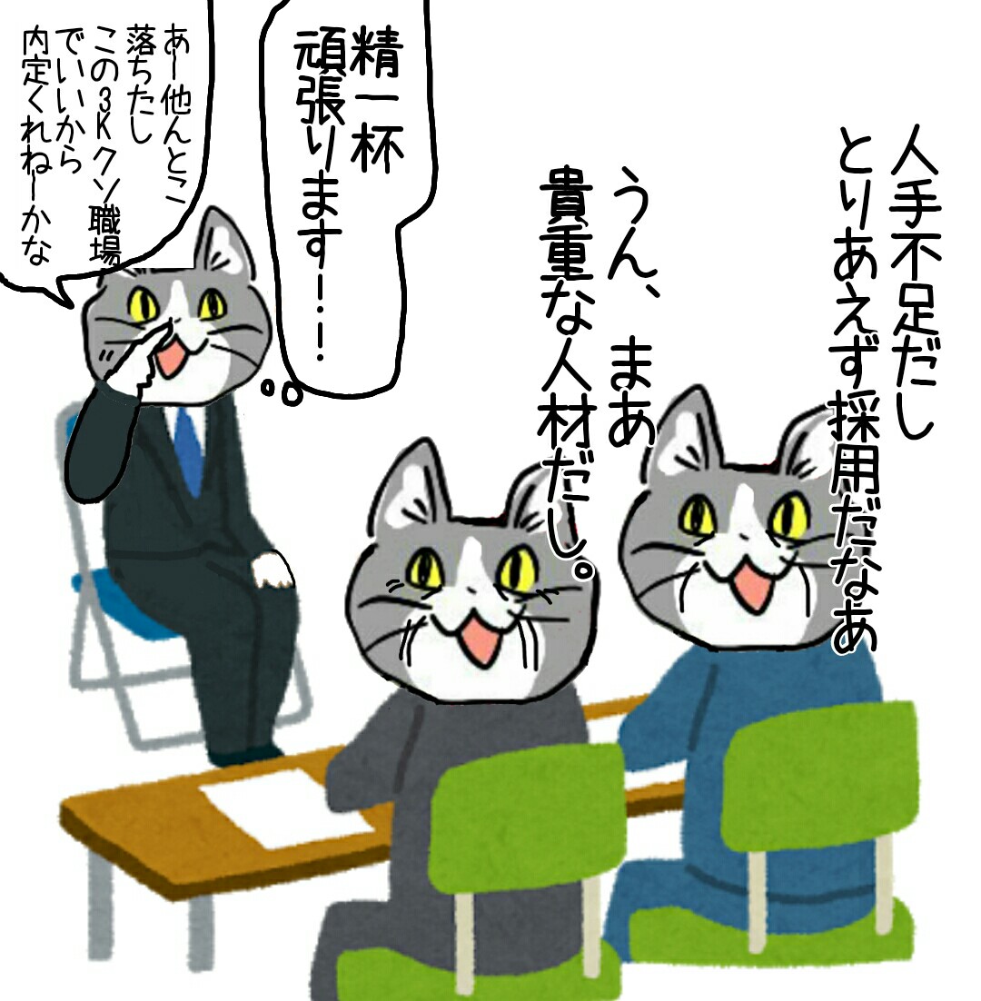 意欲ある女性しか現場職に応募してこないから、現場にいる女性はだいたい意欲がある #現場猫 