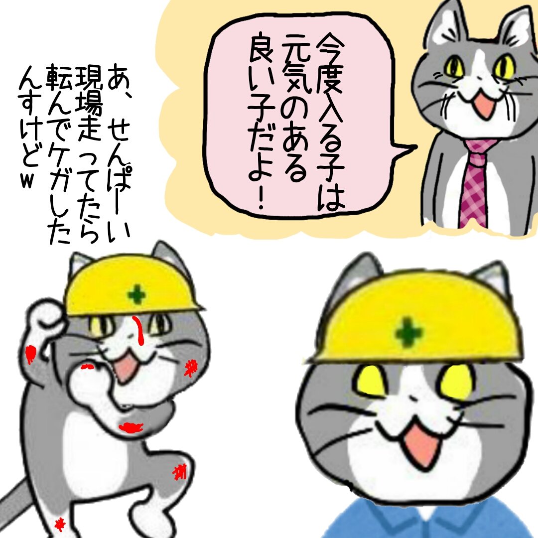 採用面接の印象はあてにならない #現場猫 