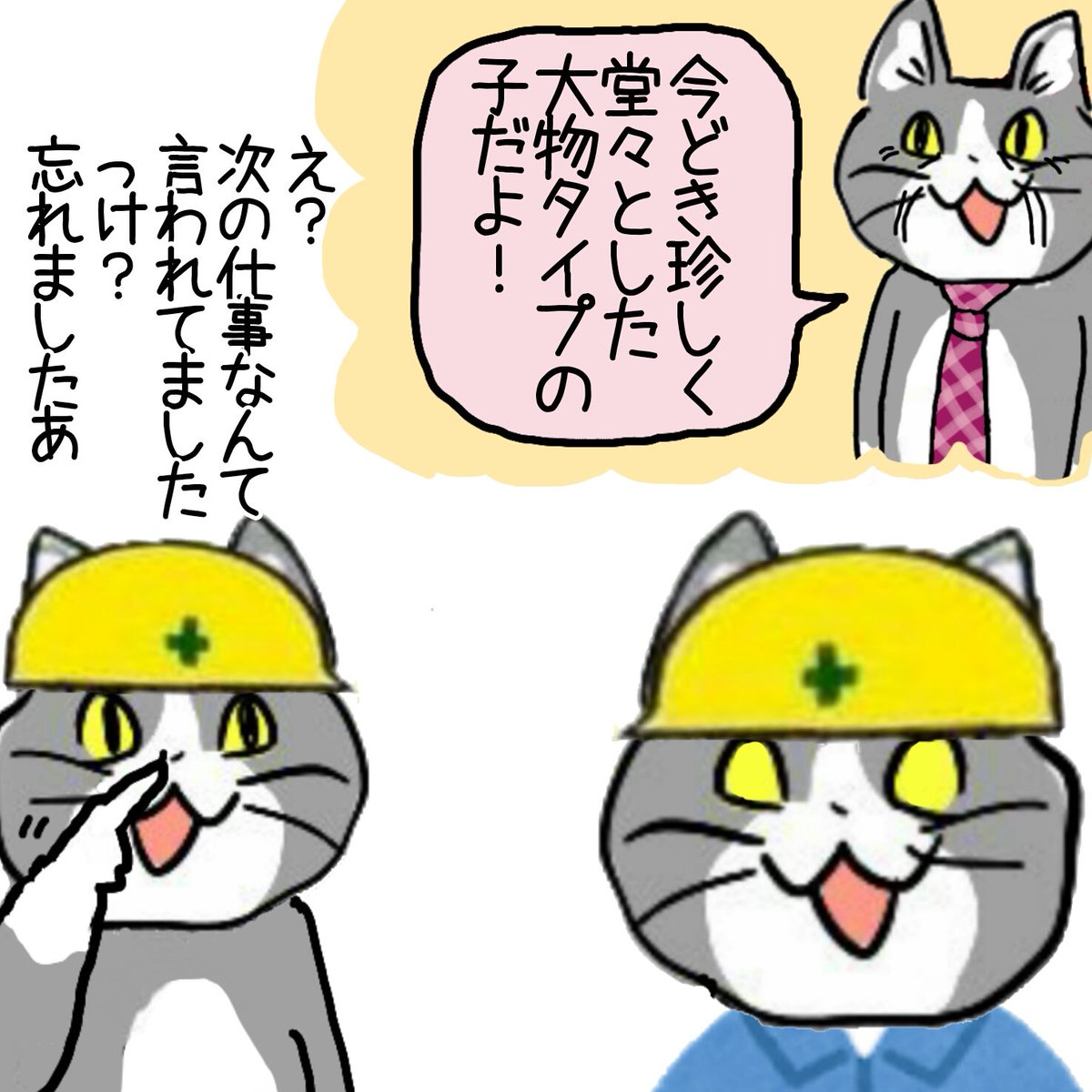 採用面接の印象はあてにならない #現場猫 