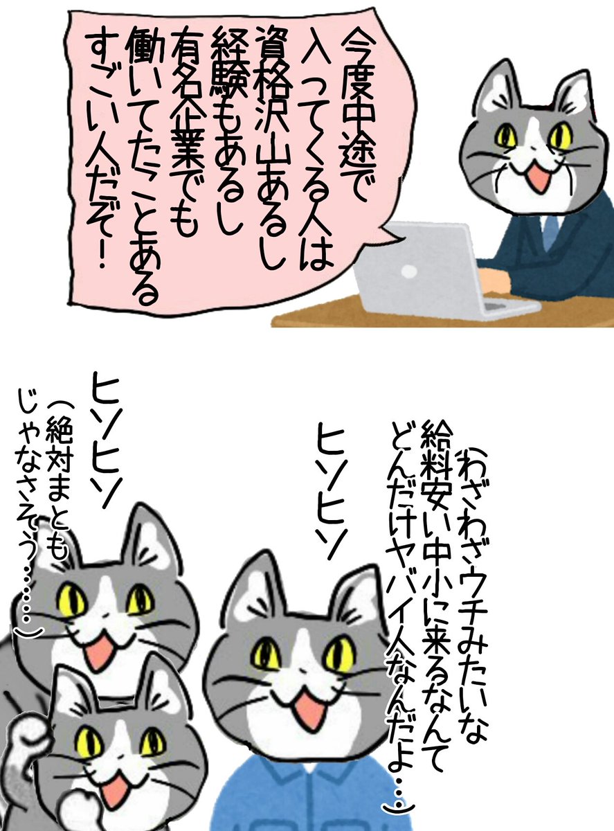 疑心暗鬼の猫たち #現場猫