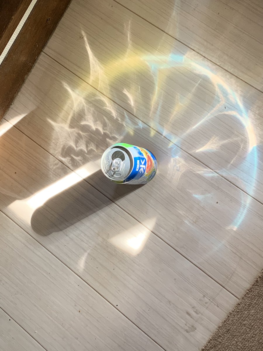 捨てようとしてた氷結グレープフルーツが突然氷魔法唱え出した 