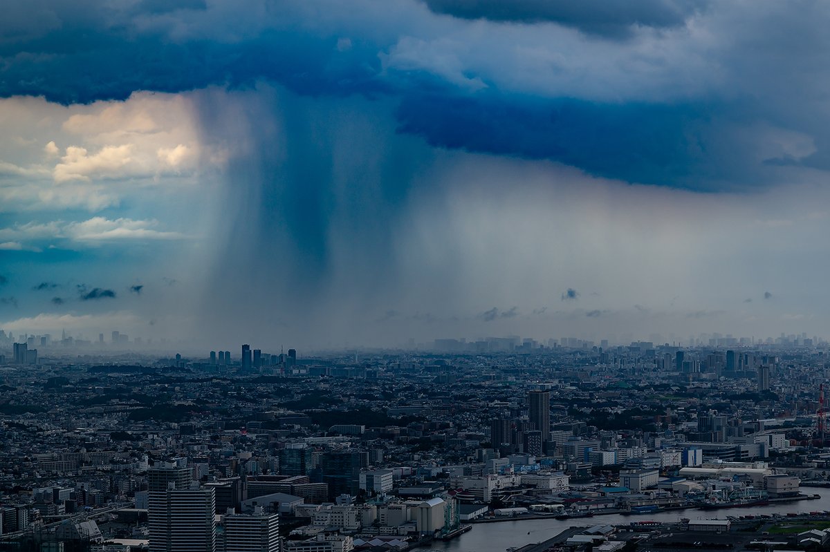 予報を信じて何時間も張った甲斐がありました