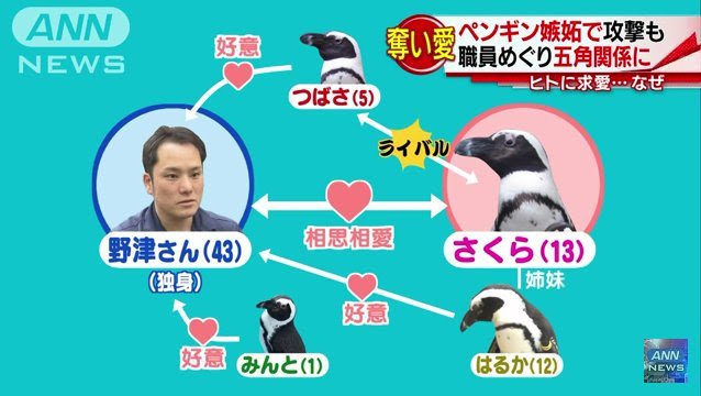 マジでコレに憧れてる 