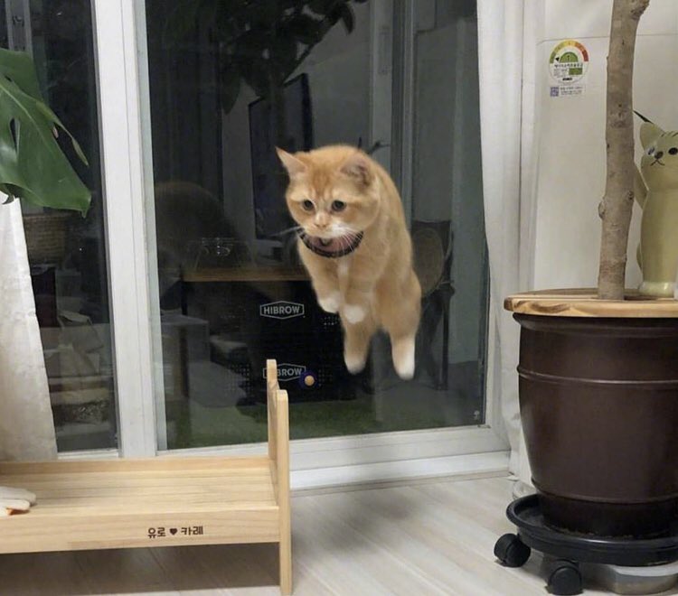 こんな躍動感のないジャンプ写真撮れるのが凄いわ(´・ω・｀) 