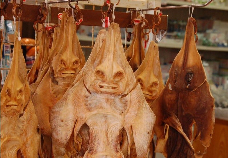 友達だと思ってた人間に裏切られ、殺されたエイの怨念が凄まじい 