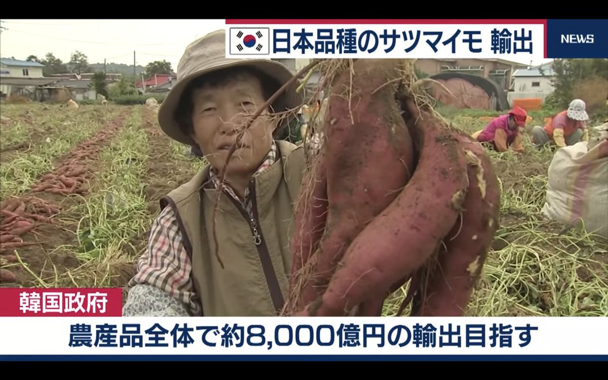 そりゃ嫌われるっしょ 